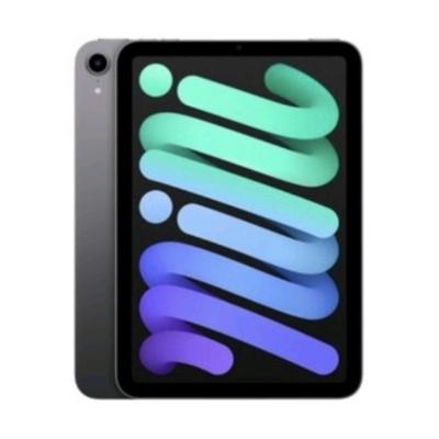 아이패드 미니 6세대 64GB