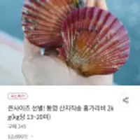 통영 산지직송 홍가리비 2kg