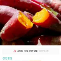 25년 첫수확 해남 햇 꿀밤고구마 특상 특상 3kg