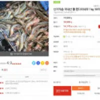 국내산 활 흰다리새우 1kg 30미 내외