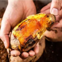 네이버멤버십_ 쟌슨빌 소시지, 쟌슨빌 빅핫도그, 매일유업 소잘우유, 아몬드 브리즈, 상하목장 아이스크림 파인트, 어메이징 오트, 성경김 맛난김 (다...