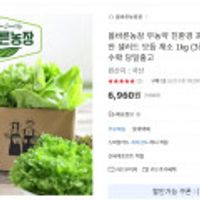 올바른농장 친환경 유러피안 샐러드 모듐