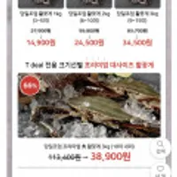 신진도 당일조업 산지직송 프리미엄 대사이즈 활꽃게 3kg