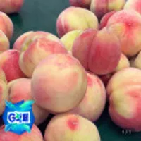 딱딱이 백도 복숭아 중과 4kg