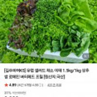 유럽 샐러드 채소 야채 1.5kg