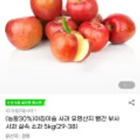 (농할30%)아침이슬 사과 유명산지 빨간 부사 사과 실속 소과 5kg(29-38)