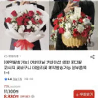 어버이날 카네이션 생화