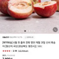 경북 영천 신비복숭아 1kg 소과 원쁠딜