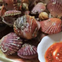 통영 홍가리비 3kg 60-75미