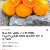 제주 카라향 2kg+2kg