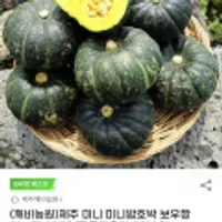 (깨비농원)제주 미니 미니밤호박 보우짱 2kg(7-10개)/쿠폰적용가