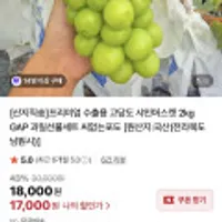 프리미엄 수출용 고당도 샤인머스켓 1+1 총 2kg