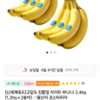 코스타리카산 고당도 친환경 치키타 바나나 2.4kg (1.2kg x 2송이)