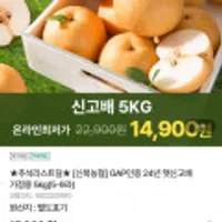 신북농협 24년 햇신고배 가정용 5kg