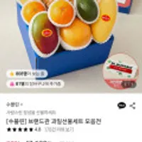 수플린 자르뎅 1호 실속 담은 정성 프리미엄 혼합과일 선물세트 3.1kg