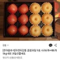 자연의감동 혼합과일 9호 사과6개+배6개 5kg내외 과일선물세트