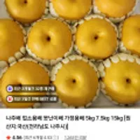 나주 가정용배 5kg 랜덤과