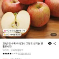 홍로사과 2kg 15과내외