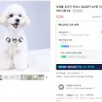 강아지 앞섬방지 하네스 HY형 투버클