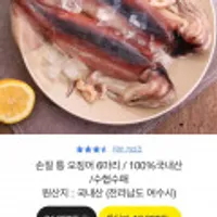 손질 통 오징어 국내산 6마리
