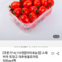 스테비아 토망고 대추방울토마토 500gX4팩
