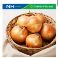 무안 황토 햇양파 (중대) 3kg