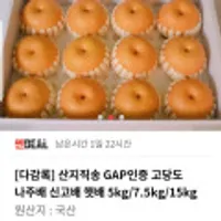산지직송 GAP인증 고당도 나주배 5kg 8~10과