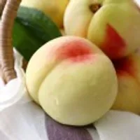 딱딱이 백도 복숭아 중과 4kg(18~22과내외)