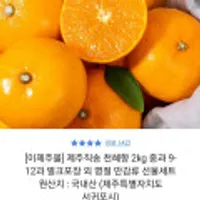 제주 천혜향 2kg 9-12과