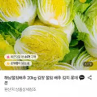 김장용 해남 절임배추 20kg