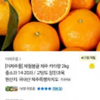 제주 카라향 2kg 중소과 14-20과