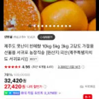 제주 산지직송 고당도 못난이 천혜향 5kg