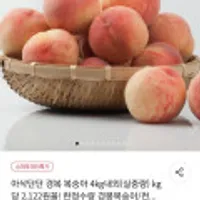 아삭하고 단단한 복숭아 4kg