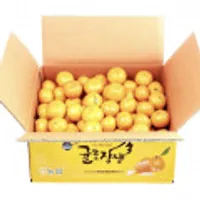 제주시농협 귤로장생 햇 노지감귤 4.5kg