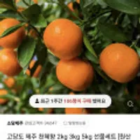 고당도 제주 천혜향 2kg