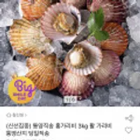 통영직송 홍가리비 3kg 활가리비 통영산지 당일배송