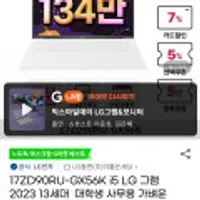 LG그램 17ZD90RU-GX56K 인텔 i5/16GB/256GB/17인치/1,350g