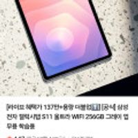 삼성전자 갤럭시탭 S11 울트라 WIFI 512GB