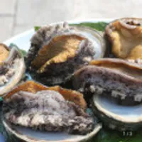 완도 활전복 1kg 8-9미