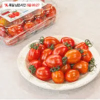 스테비아 대추 방울토마토 500g 4팩