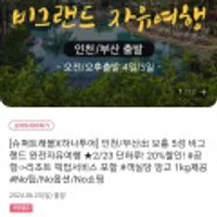 슈퍼트래블x하나투어 보홀 5성 비그랜드 자유여행 4/5일