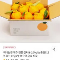 깨비농원 제주 정품 한라봉 2.5kg