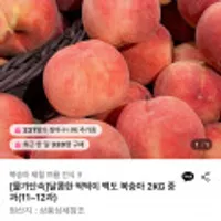 달콤한 딱딱이 백도 복숭아 2KG 중과 11~12과