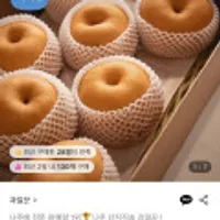 나주 산지직송 나주배 가정용 3kg 4-7과