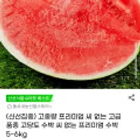 고급 품종 고당도 수박 씨 없는 프리미엄 수박 5~6kg