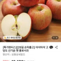 홍로사과 2kg 15과내외