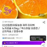 빅스20% / 제주 타이벡 노지감귤 4.5kg 중대과