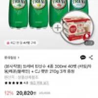 트레비 탄산수 4종 300ml 40펫
