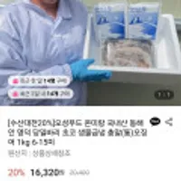 온미랑 국내산 동해안 영덕 당일바리 초코 생물급냉 총알(통)오징어 1kg 6-15미