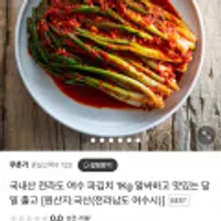 국내산 전라도 여수 파김치 1Kg